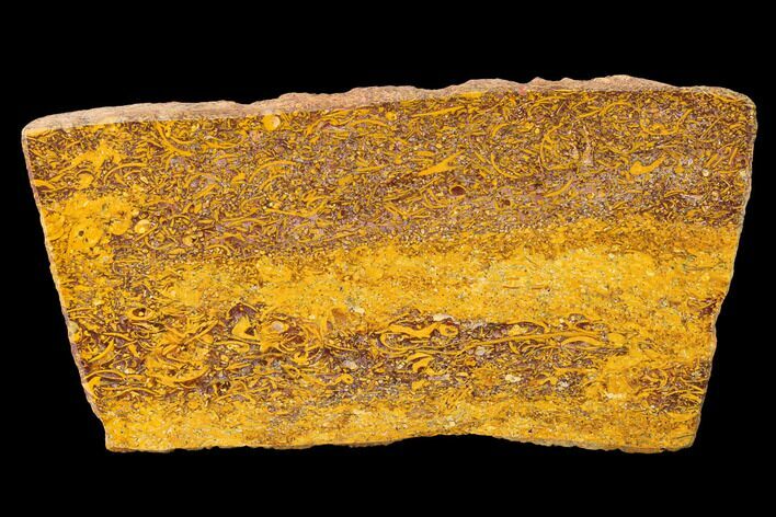 Polished Miriam Stone Slab - India #167776